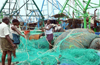 Central Govt. Clarifies on Fishing Ban and Advised 61 Days Fishing Holiday